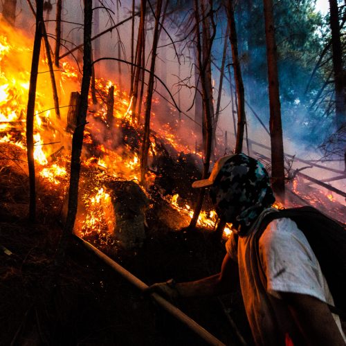 34 incendios siguen activos en Colombia; 17 mil hectáreas consumidas