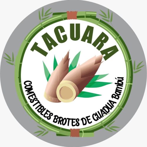 TACUARA brotes comestibles de bambú, el emprendimiento de una joven de Cartagena del Chairá