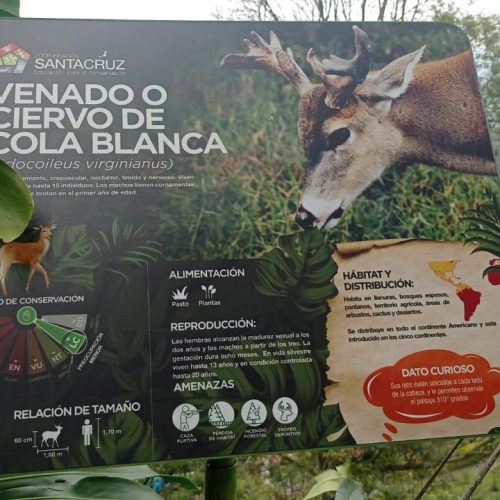 Zoológico Santa Cruz, santuario de fauna en la región del Tequendama