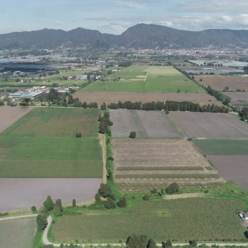 En la reserva Thomas van der Hammen el Distrito ya ha alcanzado 9 acuerdos de conservación en 70,02 hectáreas.