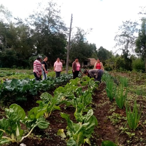 El cuidado, clave para América Latina