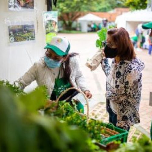 Cómprale al campesino